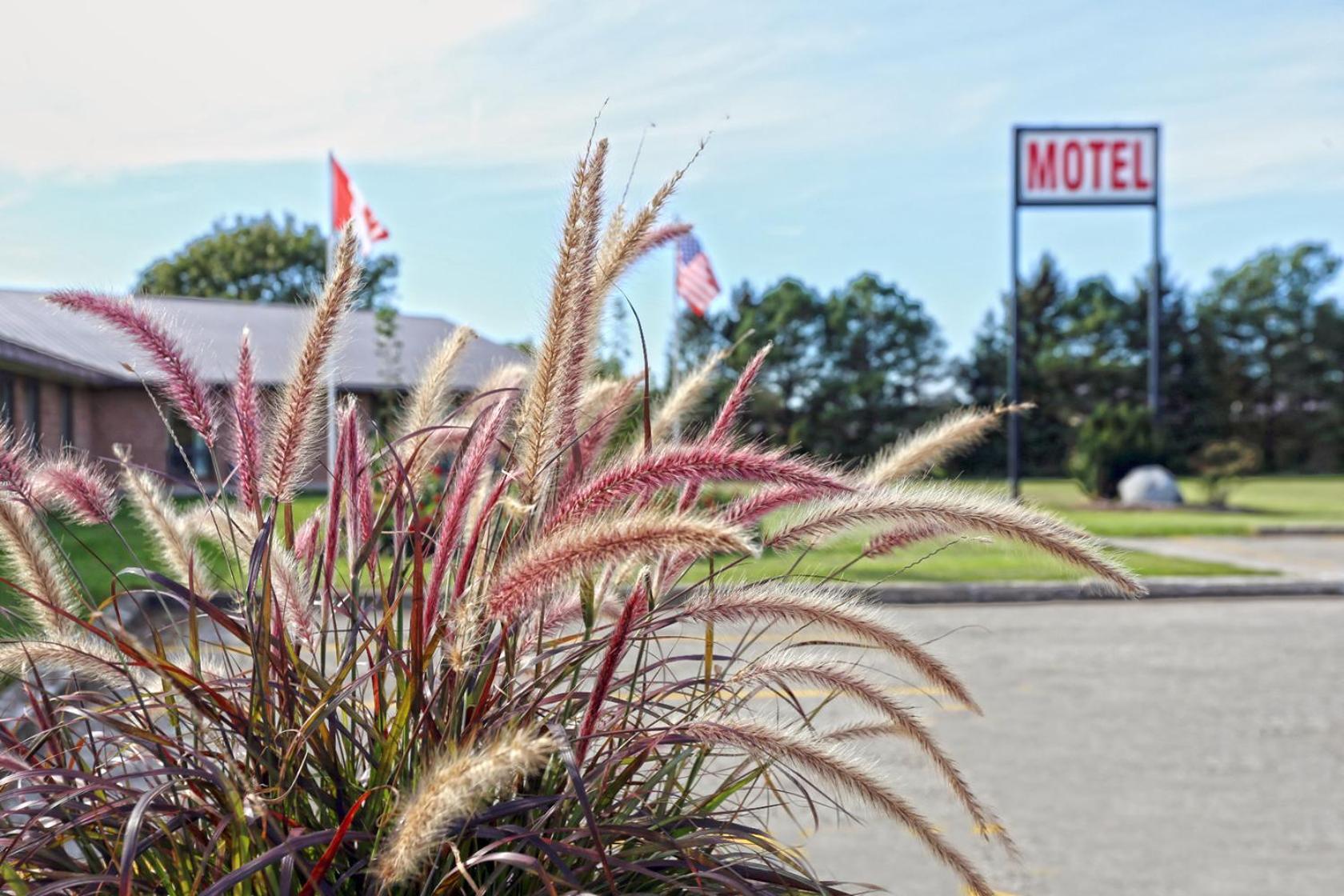 King Hotel Palmerston Eksteriør bilde
