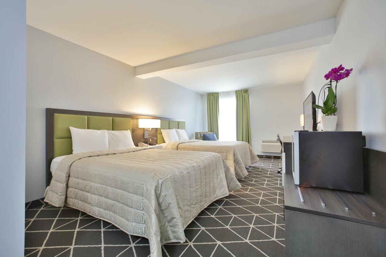 King Hotel Palmerston Eksteriør bilde